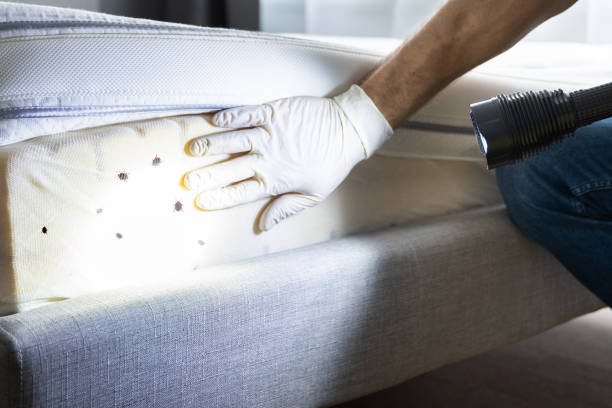 Best Residential Pest Control  in Wallenuck Lake Estates, PA