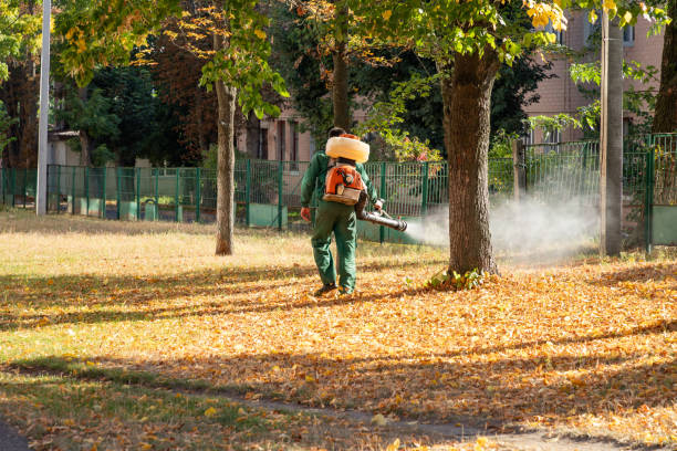 Best Best Pest Control Companies  in Wallenuck Lake Estates, PA