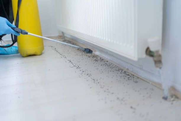 Best Affordable Pest Control Services  in Wallenuck Lake Estates, PA