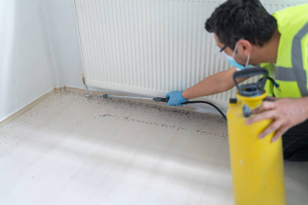 Best Pest Control Near Me  in Wallenuck Lake Estates, PA